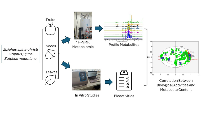 Graphical Abstract
